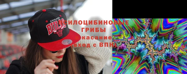 тгк Алексин