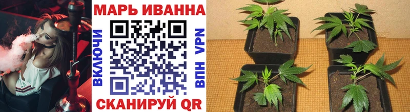 Марихуана THC 21%  дарнет шоп  Белая Калитва 